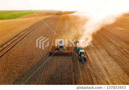 By the help of tractor. Agricultural machine harvesting wheat By the help of tractor. Agricultural machine harvesting wheat 137853953