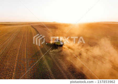 Raw quality product, collecting it. Agricultural machine harvesting wheat Raw quality product, collecting it. Agricultural machine harvesting wheat 137853962