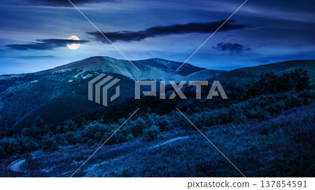 panoramic landscape with green meadow and purple flowers by the dirt road on the slope of a hill at night. full moon over mysterious scenery of mountain ridge under cloudy sky in summer 137854591