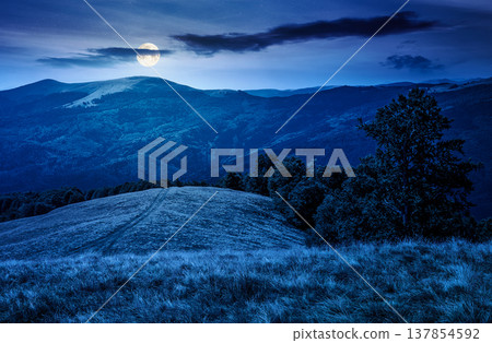 mountainous landscape in late summer at night. full moon over gorgeous highland woods. grassy meadow under cloudy sky. countryside scenery picture with beech forest on a hill behind the pasture mountainous landscape in late summer at night. full moon over gorgeous highland woods. grassy meadow under cloudy sky. countryside scenery picture with beech forest on a hill behind the pasture 137854592