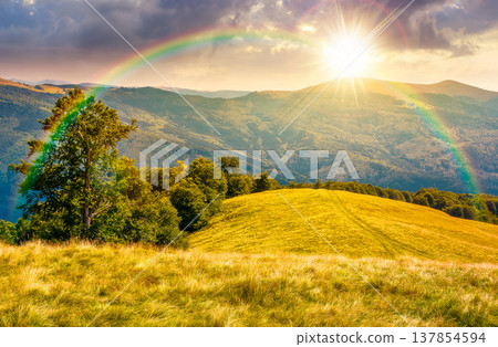 sunset over mountainous landscape in late summer. gorgeous highland woods. grassy meadow under cloudy sky with rainbow. countryside scenery picture with beech forest on a hill behind the pasture sunset over mountainous landscape in late summer. gorgeous highland woods. grassy meadow under cloudy sky with rainbow. countryside scenery picture with beech forest on a hill behind the pasture 137854594