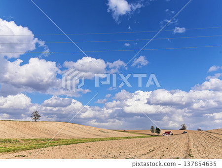 Spring scenery in Hokkaido Spring scenery in Hokkaido 137854635