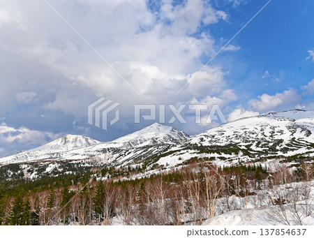 北海道的春景 北海道的春景 137854637