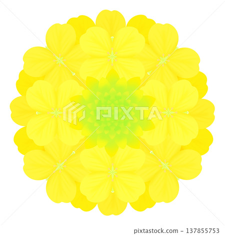 春天——油菜花 137855753