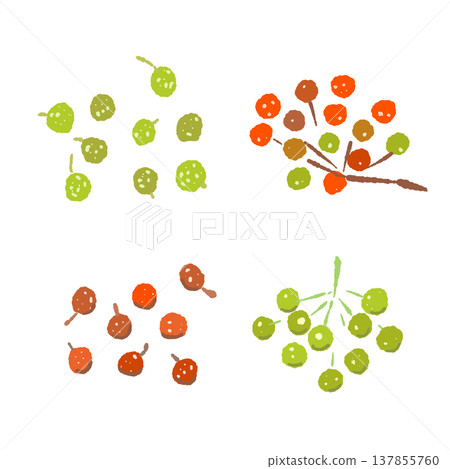 Illustration set of red and green sansho pepper berries (with branches) Illustration set of red and green sansho pepper berries (with branches) 137855760