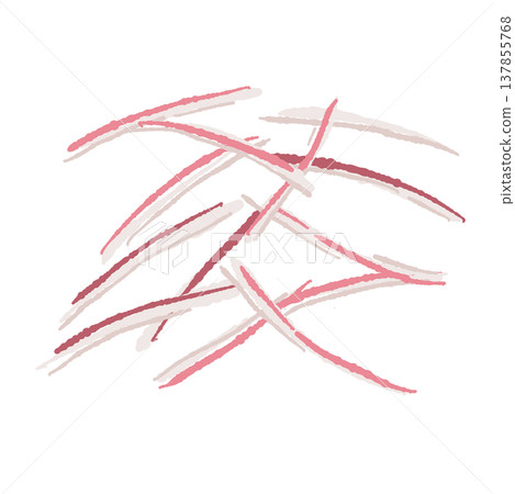 Hand-drawn illustration of shredded Japanese ginger (a condiment). Hand-drawn illustration of shredded Japanese ginger (a condiment). 137855768