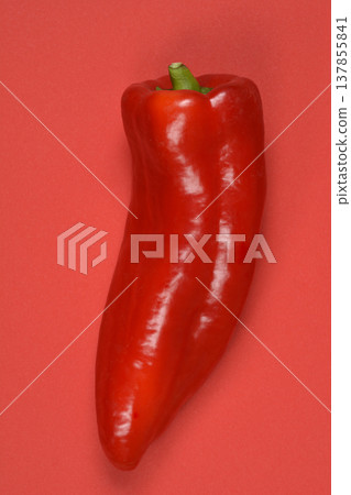 Single Red Pointed Pepper on a Red Background Single Red Pointed Pepper on a Red Background 137855841
