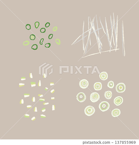 A set of illustrations of chopped green onions and julienned green onions (with backgrounds). A set of illustrations of chopped green onions and julienned green onions (with backgrounds). 137855969