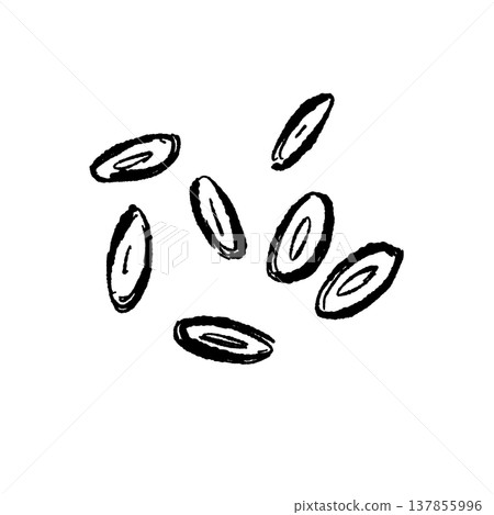 Silhouette of thinly sliced (round) myoga ginger Silhouette of thinly sliced (round) myoga ginger 137855996