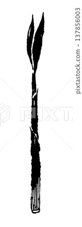 Monochrome silhouette illustration of a bamboo stalk (stem) of Japanese ginger (1) Monochrome silhouette illustration of a bamboo stalk (stem) of Japanese ginger (1) 137856003
