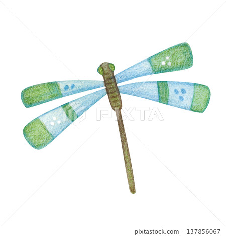 A dragonfly with blue and green wings. Hand-drawn watercolor illustration, cartoon. Design for stickers, cards, and posters. Insect, animal, nature, fly A dragonfly with blue and green wings. Hand-drawn watercolor illustration, cartoon. Design for stickers, cards, and posters. Insect, animal, nature, fly 137856067