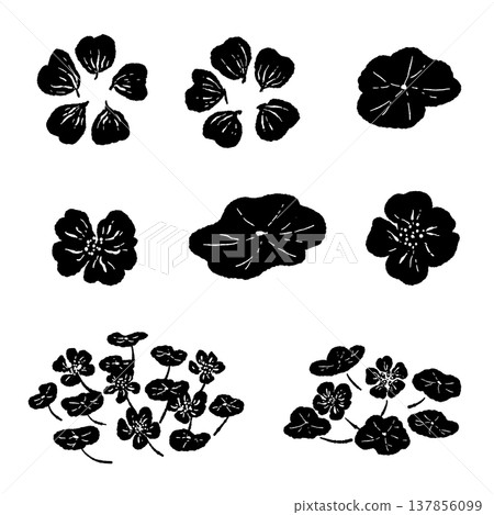 Nasturtium Variation Set (Monochrome) Nasturtium Variation Set (Monochrome) 137856099