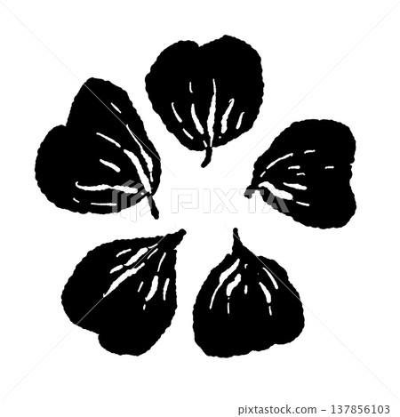 Nasturtium leaves arranged in a circle (monochrome) Nasturtium leaves arranged in a circle (monochrome) 137856103
