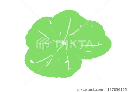 Nasturtium (Nasturtium) leaves (single leaf, different angle) 137856135