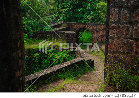 Yashwantgad Fort in Redi, Maharashtra, near the Maharashtra-Goa border. Green roots of trees grows on the old walls 137856137