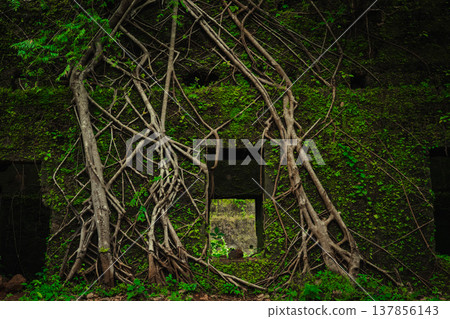Yashwantgad Fort in Redi, Maharashtra, near the Maharashtra-Goa border. Green roots of trees grows on the old walls Yashwantgad Fort in Redi, Maharashtra, near the Maharashtra-Goa border. Green roots of trees grows on the old walls 137856143