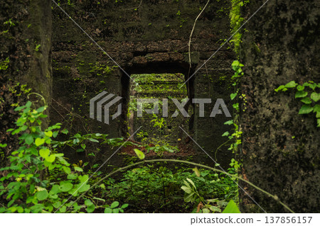 Yashwantgad Fort in Redi, Maharashtra, near the Maharashtra-Goa border. Green roots of trees grows on the old walls 137856157