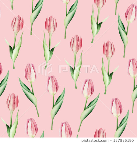 Spring pink tulip flowers seamless pattern. Watercolor easter hand drawn illustration isolated on background, transparent png. Botanical and wedding clip art. For greeting card, wallpaper, wrapping Spring pink tulip flowers seamless pattern. Watercolor easter hand drawn illustration isolated on background, transparent png. Botanical and wedding clip art. For greeting card, wallpaper, wrapping 137856190