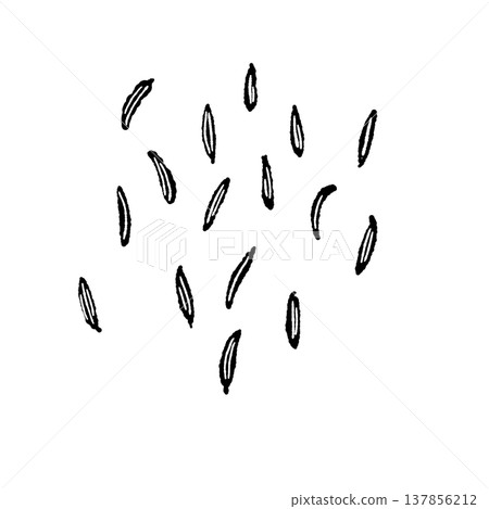 Black and white illustration of fennel seeds Black and white illustration of fennel seeds 137856212