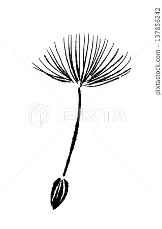 A monochrome illustration of dandelion fluff flying away. A monochrome illustration of dandelion fluff flying away. 137856242