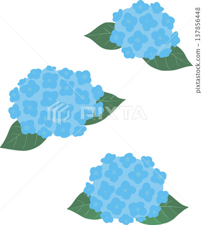 Simple hydrangea illustration (vector) - Flower material for the rainy season and early summer Simple hydrangea illustration (vector) - Flower material for the rainy season and early summer 137856448