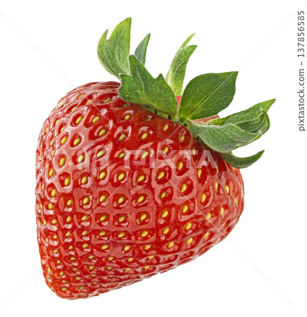 One strawberry isolated on white background with clipping path, full depth of field One strawberry isolated on white background with clipping path, full depth of field 137856585