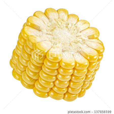 One corn cob slice isolated on white background with clipping path, full depth of field 137856599