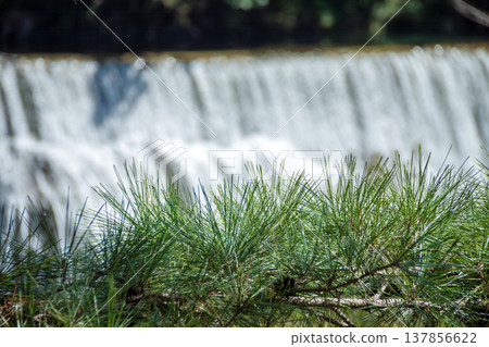 長筱水壩溢洪道（愛知縣新城市） 137856622