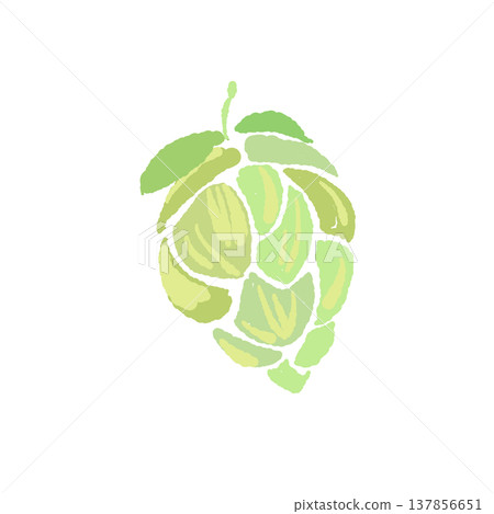 Hand-drawn illustration of a green hop fruit facing diagonally. Hand-drawn illustration of a green hop fruit facing diagonally. 137856651