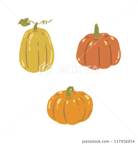 A group of hand-drawn illustrations of three pumpkins (without faces, vegetables). 137856854
