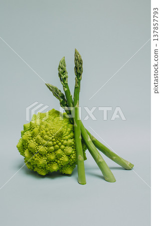 Fresh Asparagus and Romanesque cabbage on a grey background. Fresh Asparagus and Romanesque cabbage on a grey background. 137857793
