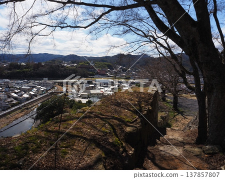 從津山城眺望 137857807