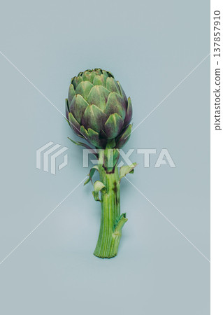 Fresh Artichoke on a grey background. 137857910