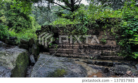 Kanheri Caves in the forests of the Sanjay Gandhi National Park, India 137857985