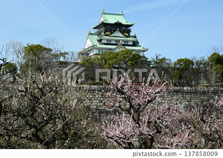 Get a head start on spring: Osaka Castle Tower and Osaka Castle Plum Grove Get a head start on spring: Osaka Castle Tower and Osaka Castle Plum Grove 137858009