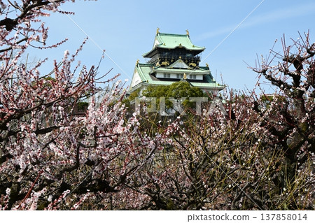 提前感受春天的氣息：大阪城塔與大阪城梅樹林 137858014