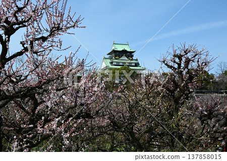 提前感受春天的氣息：大阪城塔與大阪城梅樹林 137858015