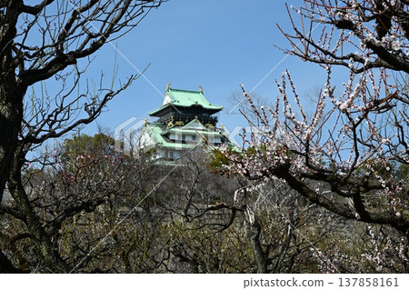 Get a head start on spring: Osaka Castle Tower and Osaka Castle Plum Grove Get a head start on spring: Osaka Castle Tower and Osaka Castle Plum Grove 137858161