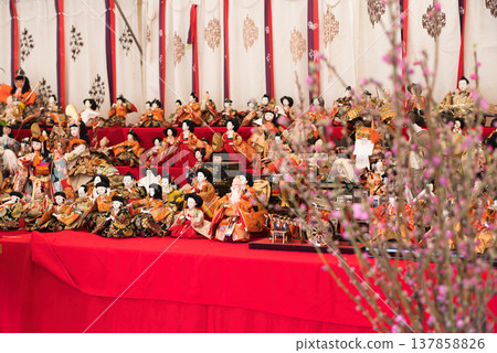 娃娃鑑賞節 137858826