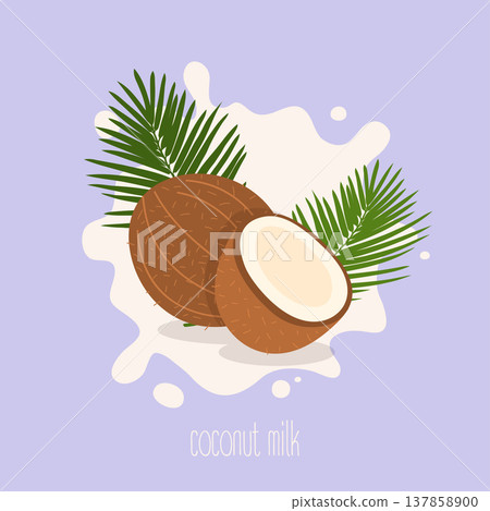 Coconut milk. Coconut on a milk splash. Vector illustration. 137858900