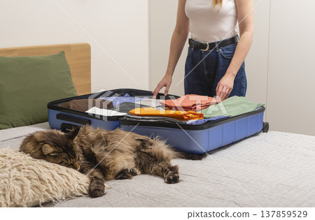 Cute cat naps near an open suitcase while packing happens at home. Cropped female hands place Cute cat naps near an open suitcase while packing happens at home. Cropped female hands place 137859529