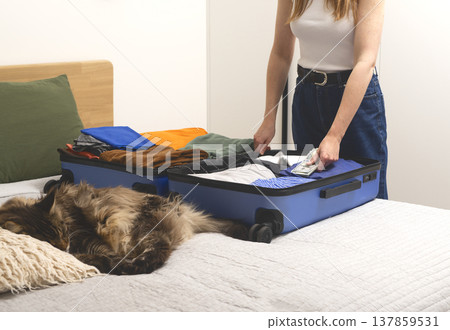 Cute cat sleeps on the bed beside an open suitcase during indoor packing. Female hands stack clothes Cute cat sleeps on the bed beside an open suitcase during indoor packing. Female hands stack clothes 137859531