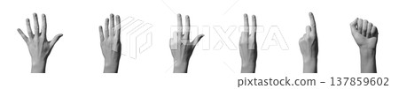 Female hand shows counting gesture from one to five with raised fingers. Closeup of left hand 137859602