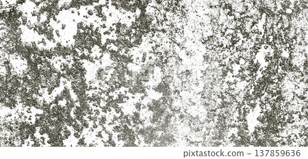 Modern grunge overlay isolated on white background with brutal messy character. Weathered surface Modern grunge overlay isolated on white background with brutal messy character. Weathered surface 137859636