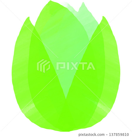 A picture of green spring plants such as butterbur sprouts. A picture of green spring plants such as butterbur sprouts. 137859810