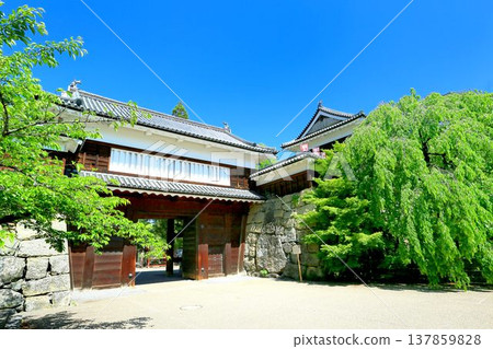 Ueda castle of fresh green Ueda castle of fresh green 137859828