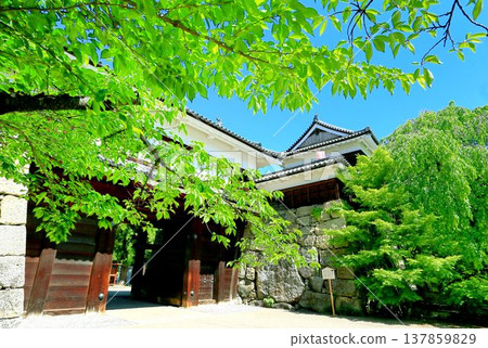Ueda castle of fresh green Ueda castle of fresh green 137859829