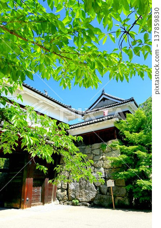 Ueda城堡新綠色 137859830