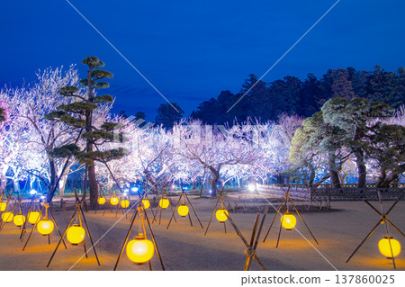 Mito Kairakuen Illumination 137860025