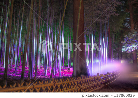 Mito Kairakuen Illumination 137860029